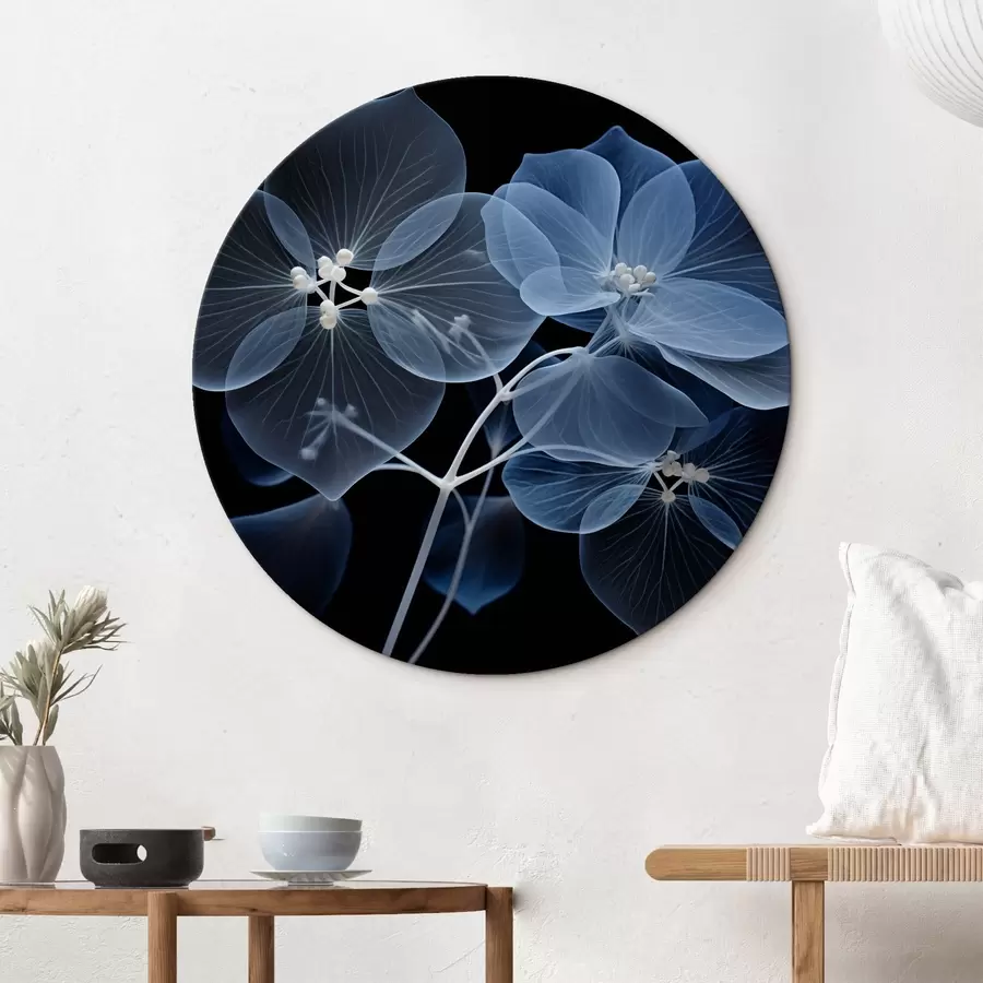 Fotobehang Een doorschijnende blauwe hortensiabloem met blauwe meeldraden en een fijne steel, tegen een zwarte achtergrond r43395