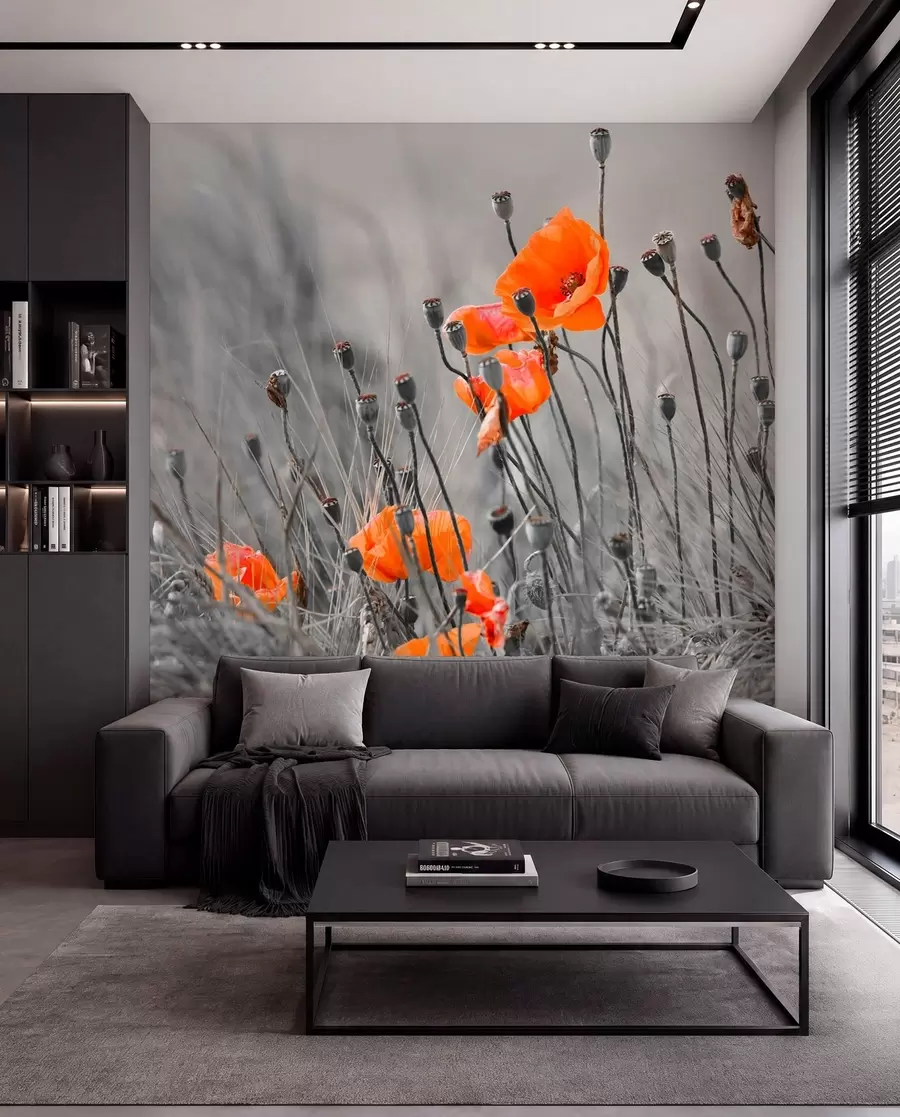 Fotobehang Veld klaprozen u53411