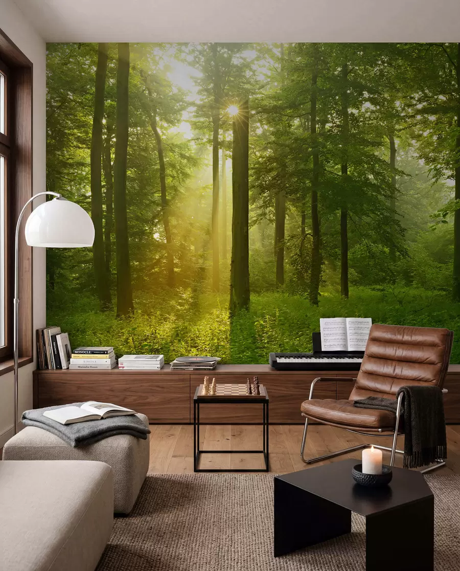 Fotobehang Stilte in het zonnige bos u57295