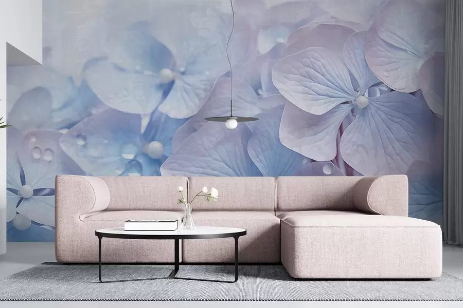 Fotobehang Vintage getextureerde blauwe en roze hortensiabloemen met waterdruppels op de bloemblaadjes, onscherpe roze achtergrond w08981