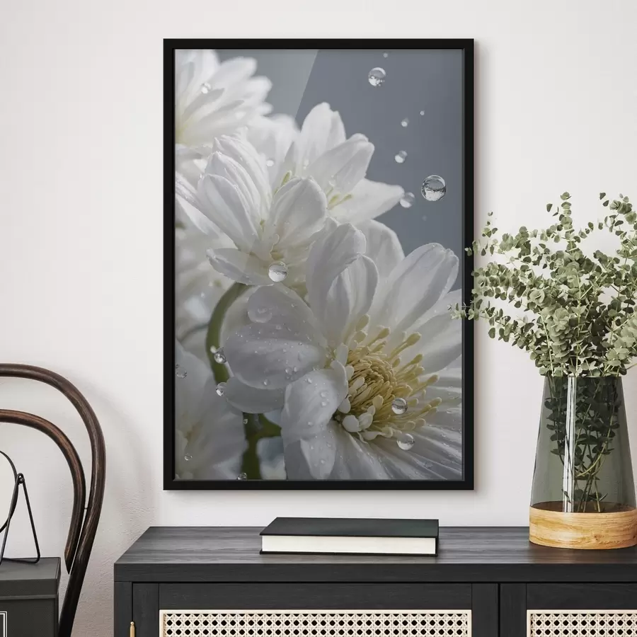 Fotobehang Witte bloemen met dauw f44100