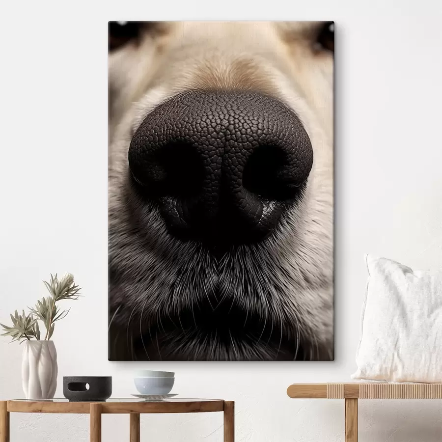  Schilderijen Hondenneus s44273