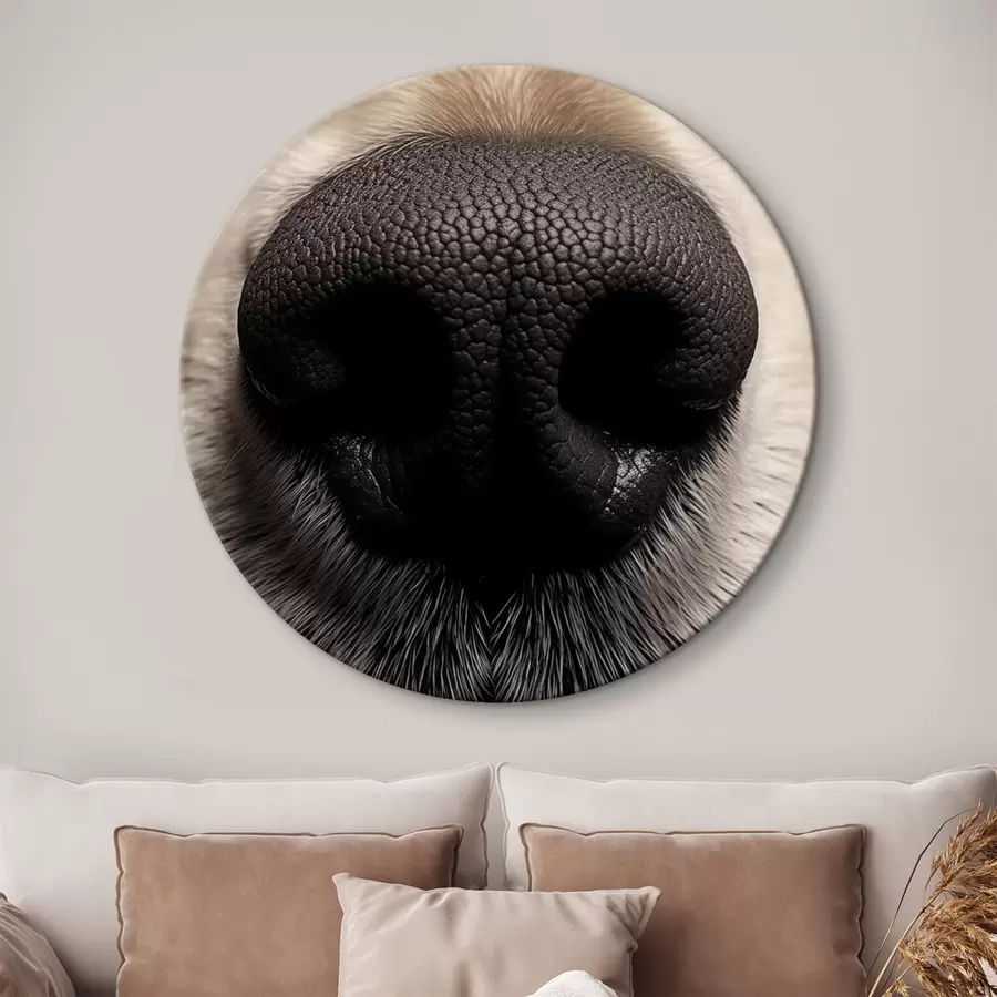  Peintures Nez de chien r44273