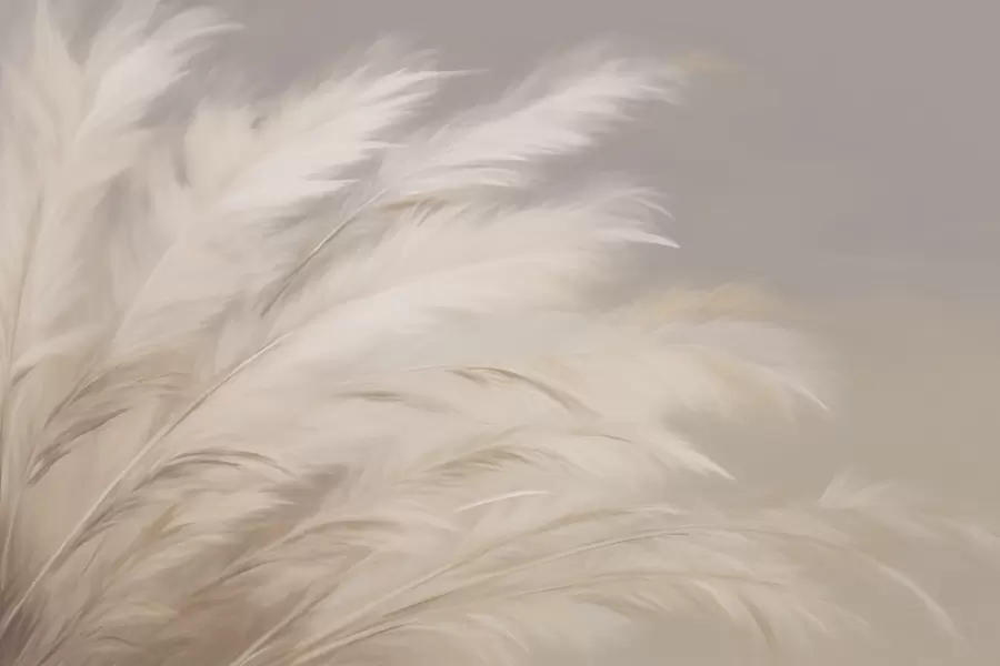 Fotobehang Zachte pluizige grassen in beige en grijs w03992