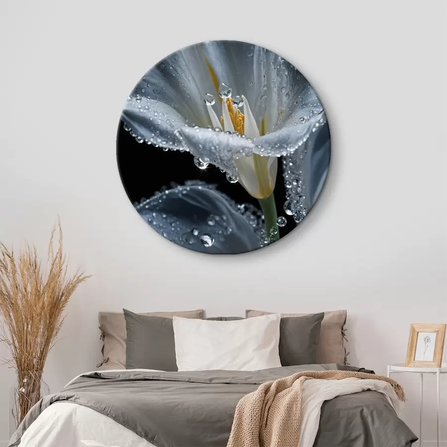  Peintures Fleur transparente sur fond noir r44479