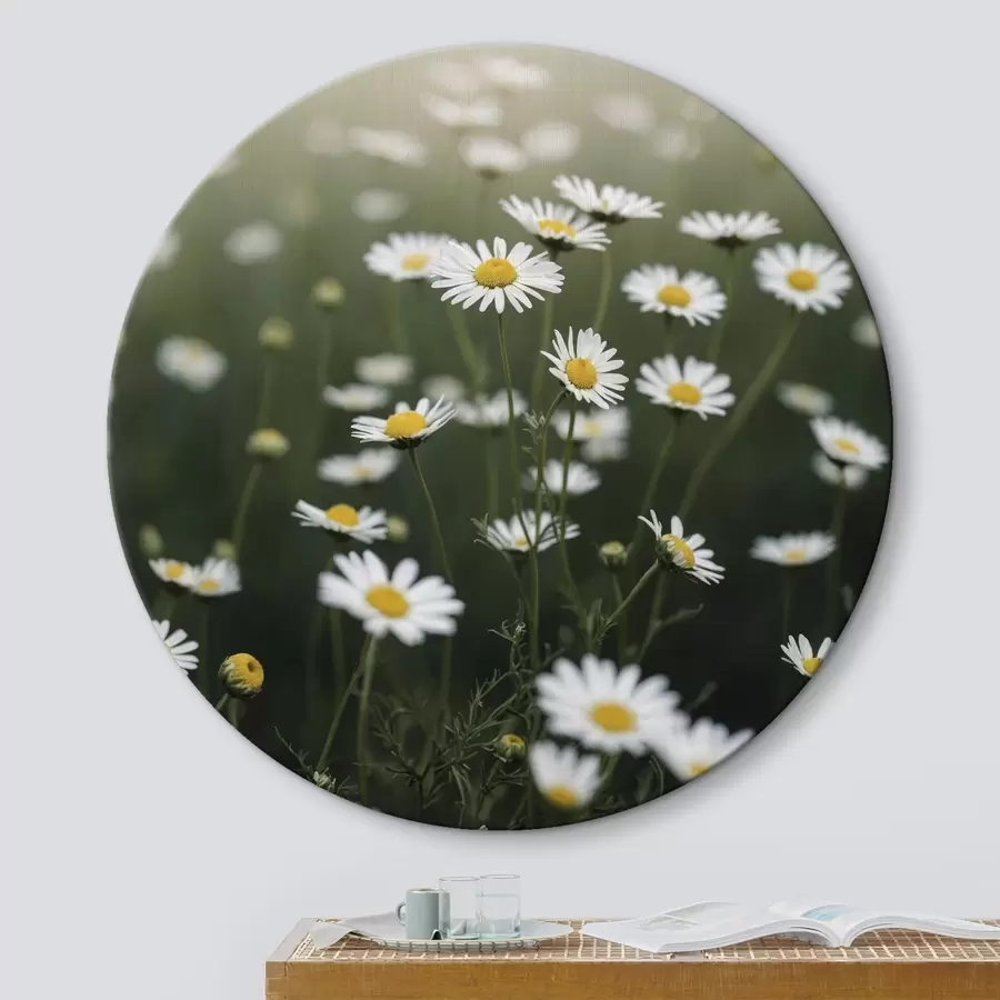  Peintures Champ de marguerites sur fond vert flou r44898