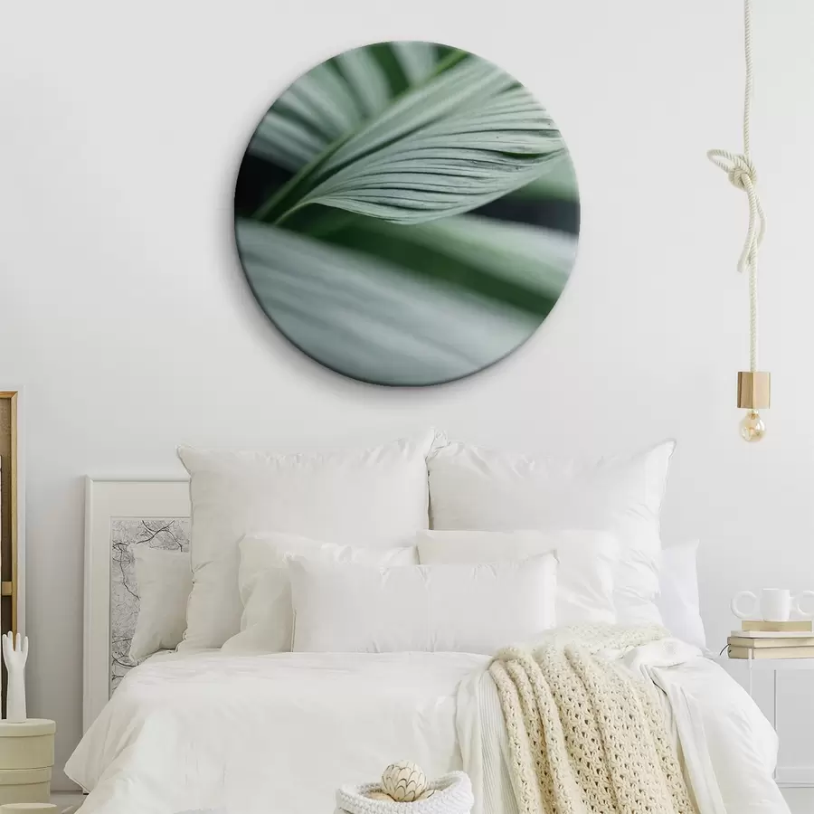  Peintures Feuilles tropicales avec gouttelettes d'eau dans un environnement brumeux r44903