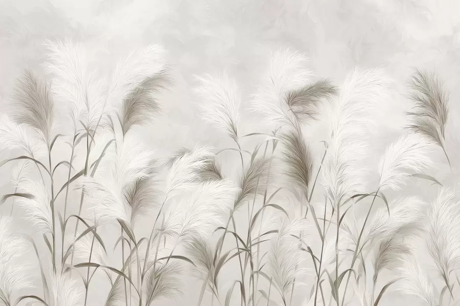 Fotobehang Sierlijk pampagras bloeit in grijze en bruine tinten w09150
