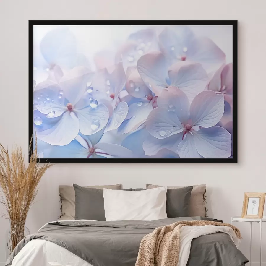 Papier peint photo Fleurs d'hortensia avec des gouttes d'eau sur les pétales délicats, couleurs pastel douces, tons bleu clair et rose f44929