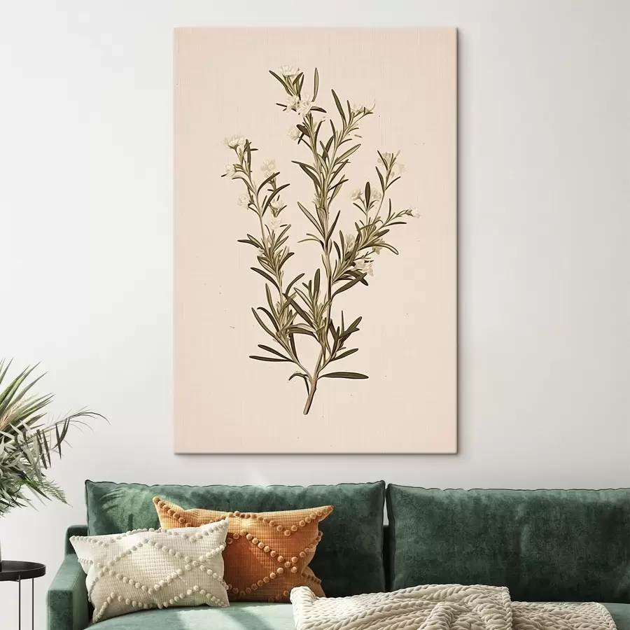  Peintures botanique, branche, fond beige, herbe, minimal, plante, feuilles vertes, tige s45098