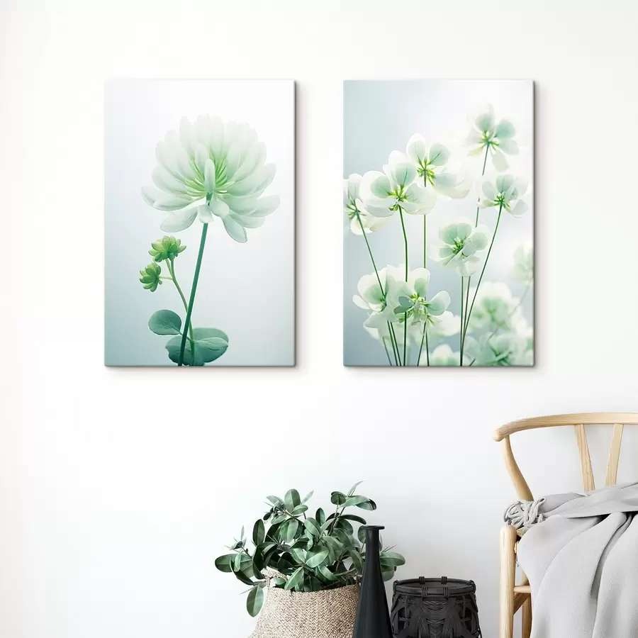  Schilderijen Witte klaver bloemen met groene stengel en bladeren, zachte verlichting, schone achtergrond, minimalistische compositie, botanisch m00520