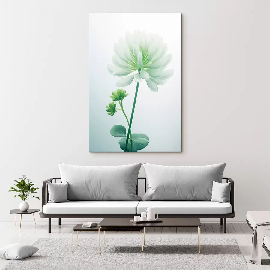  Schilderijen Witte klaver bloem met groene stengel en bladeren, zachte verlichting, schone achtergrond, minimalistische compositie, botanisch s45171