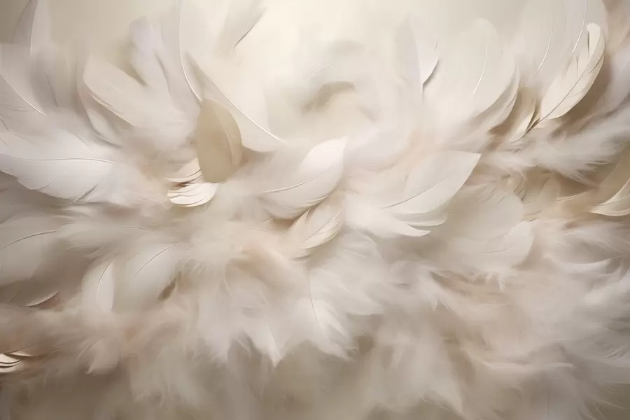 Papier peint photo Plumes duveteuses et duvet dans des tons crémeux w09274