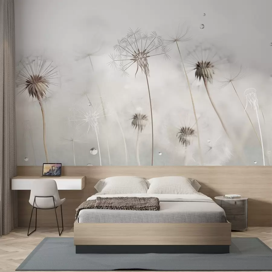 Fotobehang Paardenbloemen met waterdruppels, witte achtergrond, close-up, zacht licht, natuur, botanisch, etherisch, delicaat, minimalistisch w09399