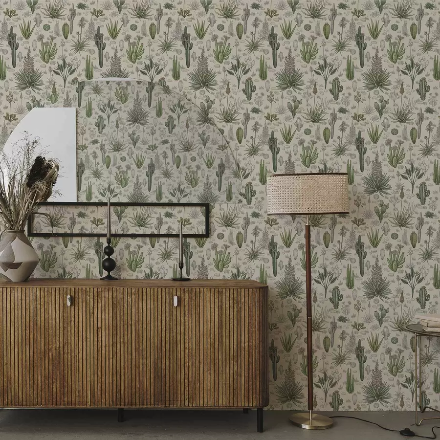 Fotobehang Cactussen en vetplanten op een warme achtergrond, gedetailleerde print a00666