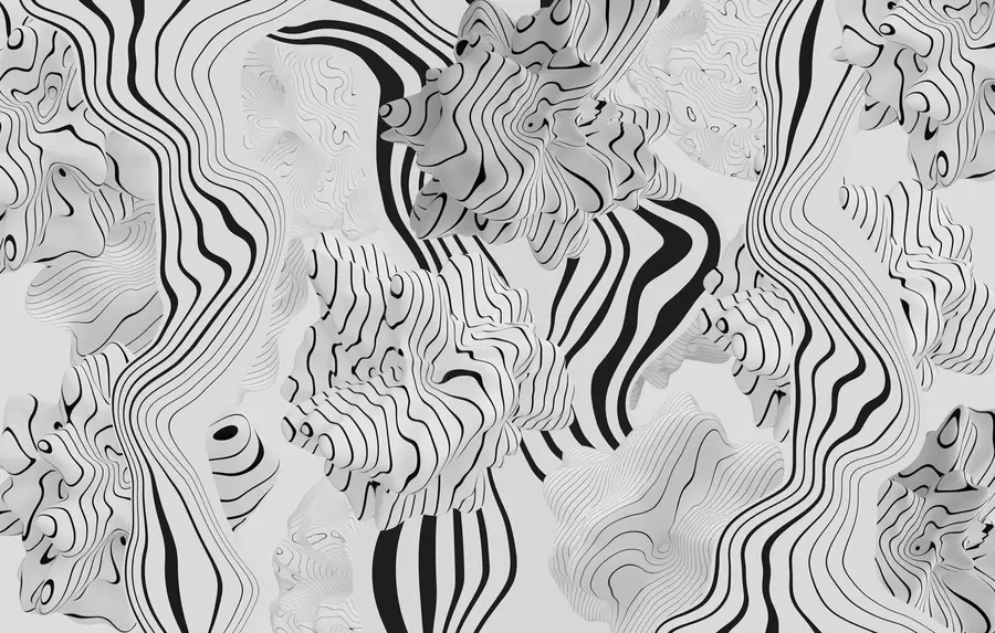 Fotobehang abstracte organische vormen in 3D-stijl in witte en grijze tinten met zwarte strepen w04627