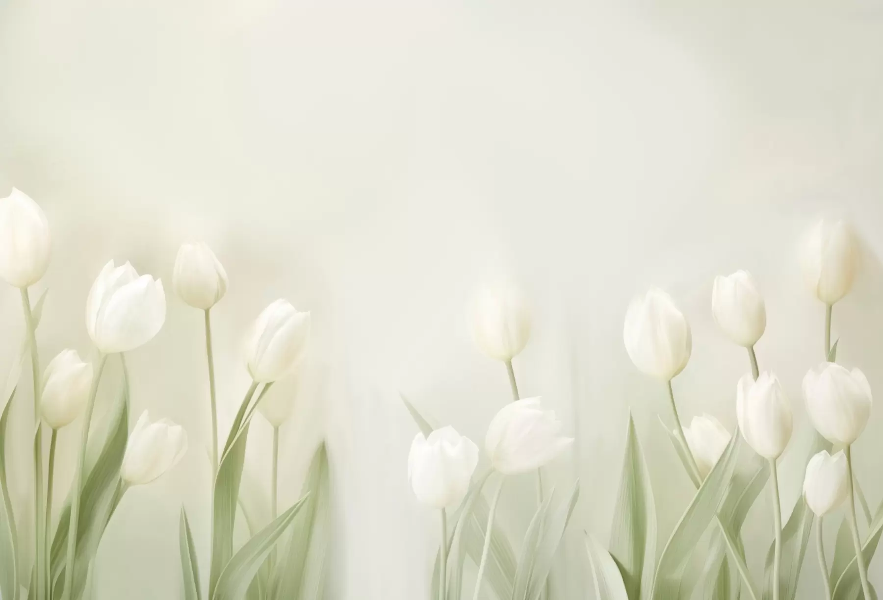 Papier peint photo Tulipes w04796