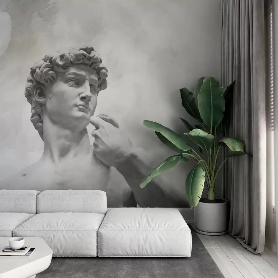 Papier peint photo Esprit Renaissance w04767