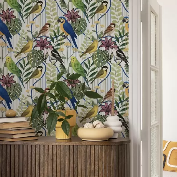 Dernières créations