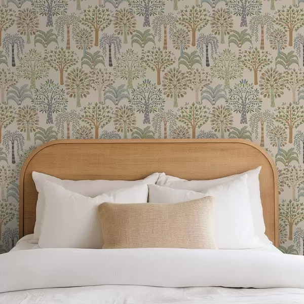 Dernières créations