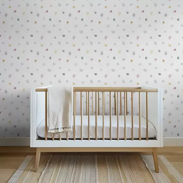 Dernières créations