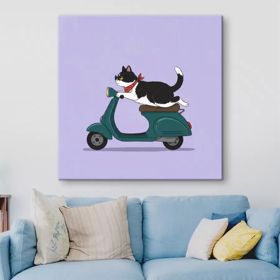  Peintures Chat sur un cyclomoteur s46847
