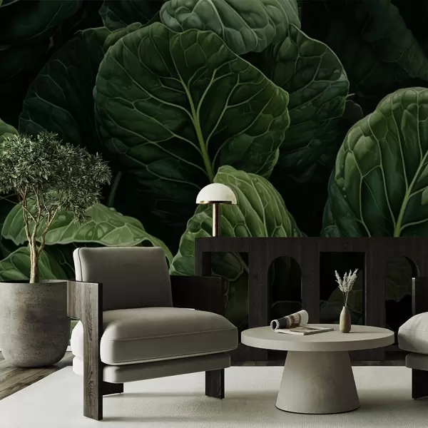 Dernières créations