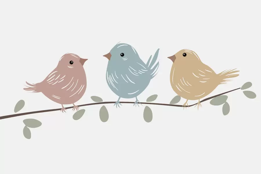 Fotobehang Vogels op een tak w05099