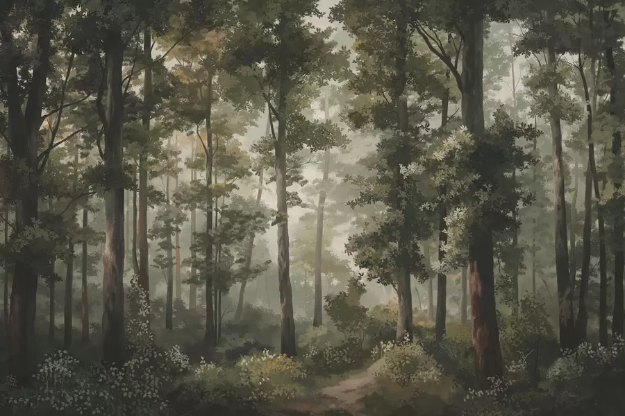 Fotobehang Bosillustratie met mist, hoge bomen en een pad w05089