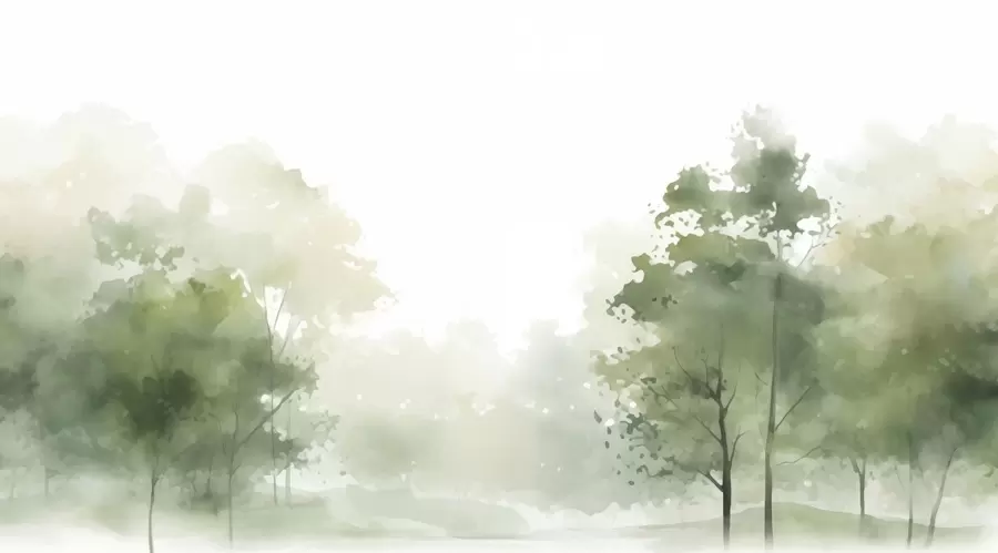 Papier peint photo Arbres, paysage w05081