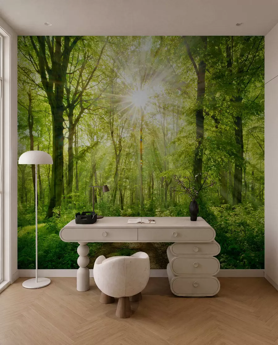 Fotobehang Pad in het zonnige bos u22252