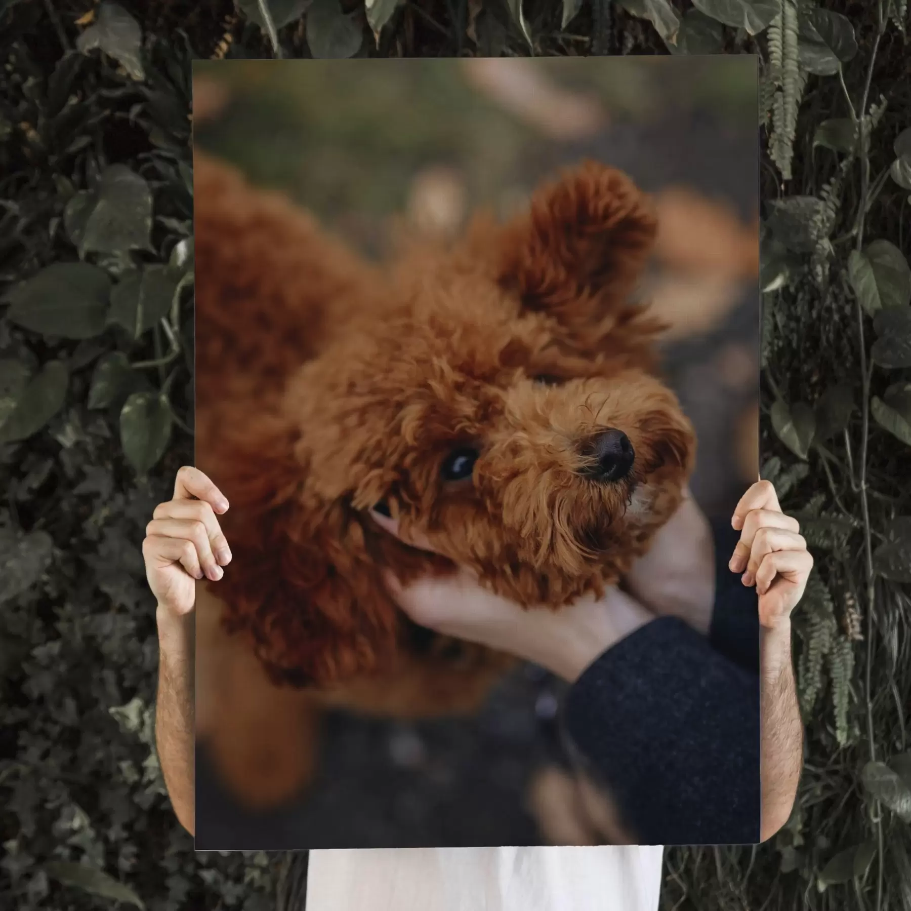  Peintures Votre chien réalisé sur mesure à partir de votre photo s47163