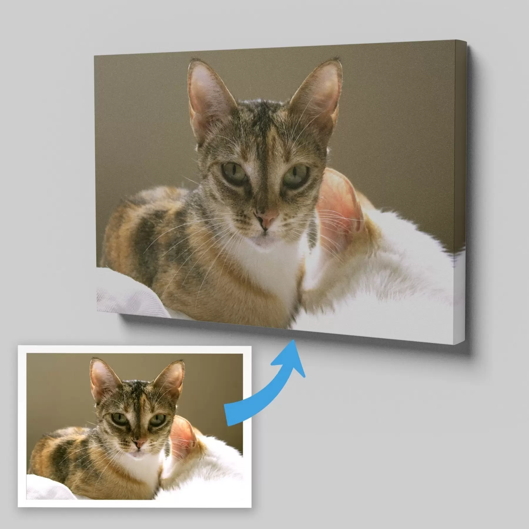  Peintures Photo de votre chat sur toile s47165