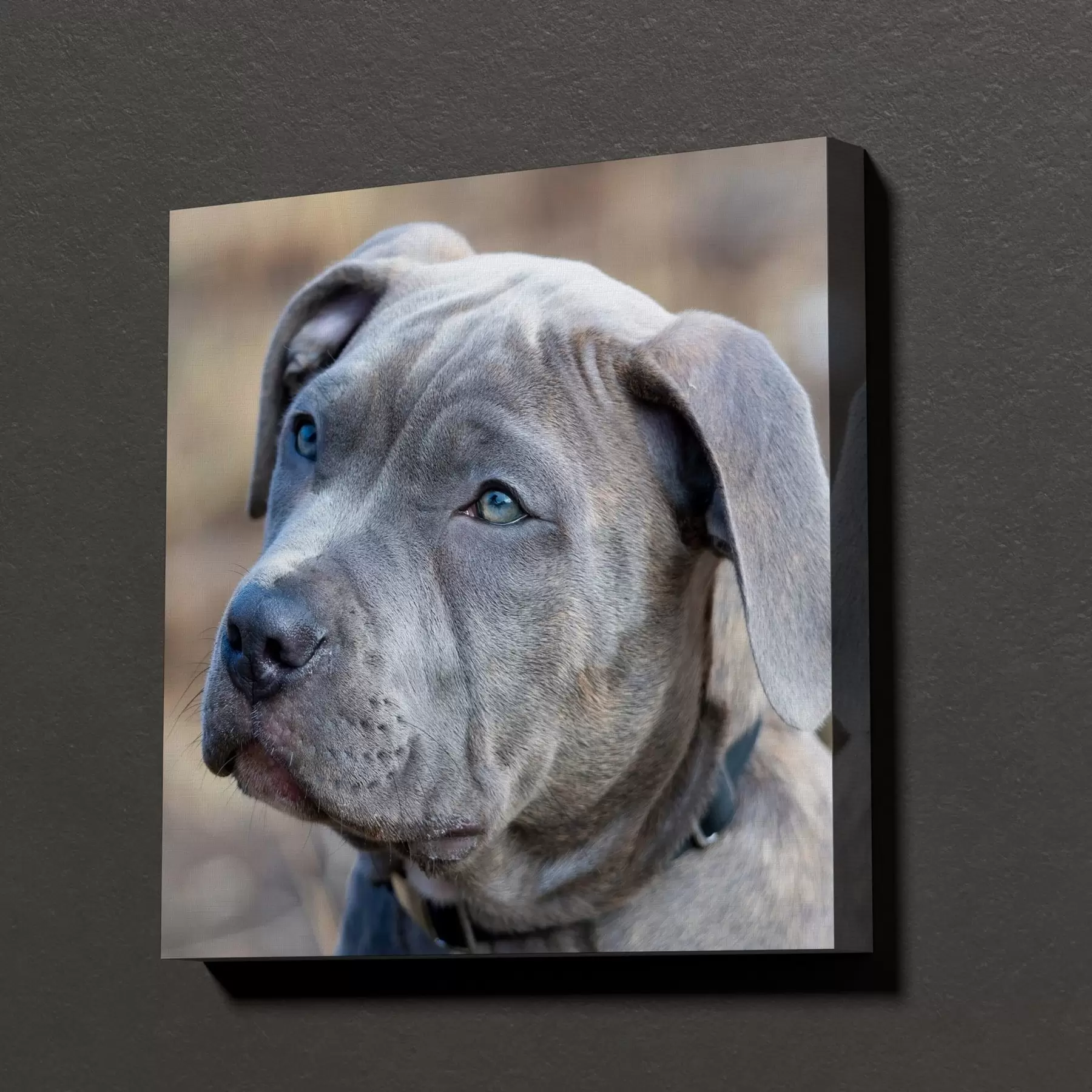  Peintures Votre chien réalisé sur mesure à partir de votre photo s47170