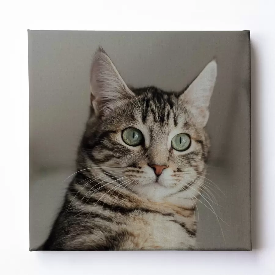  Peintures Cadeau romantique pour un couple basé sur une photo s47204