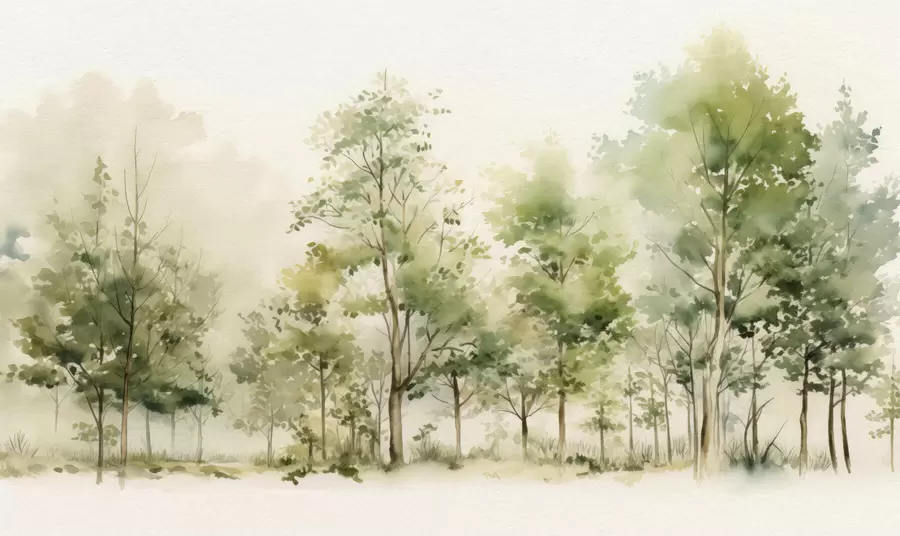 Papier peint photo Forêt de feuillus aquarellée w05180