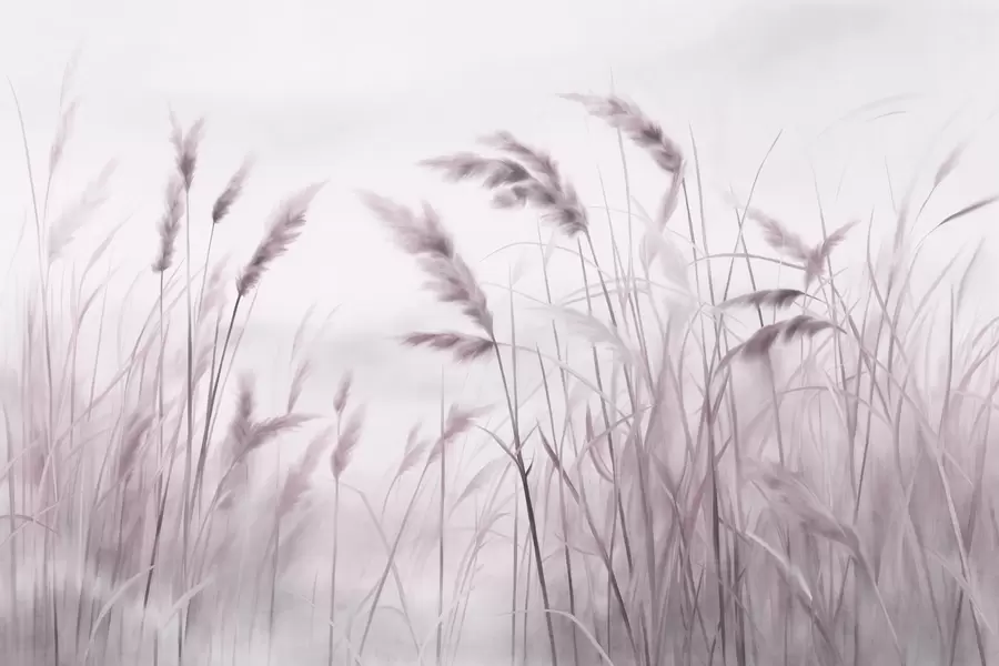 Fotobehang Hoog, gestructureerd droog gras met korenaren in het veld tegen een zachte, bleke achtergrond w09648v2