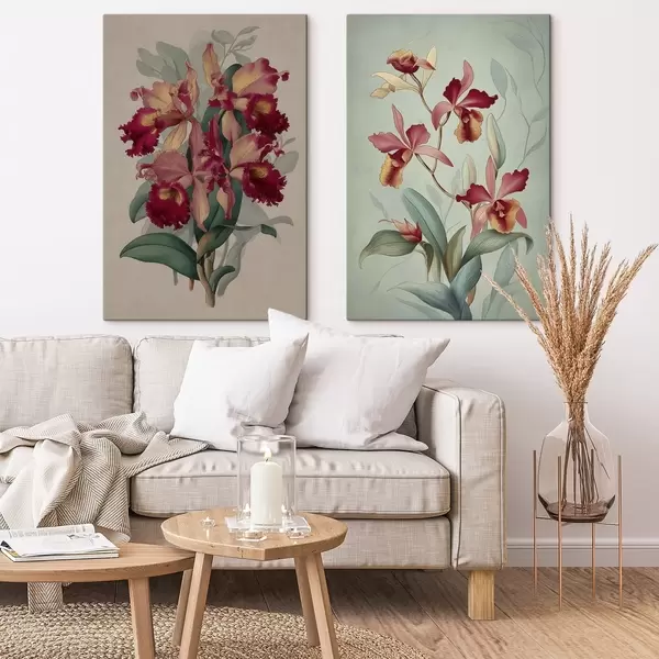 Dernières créations