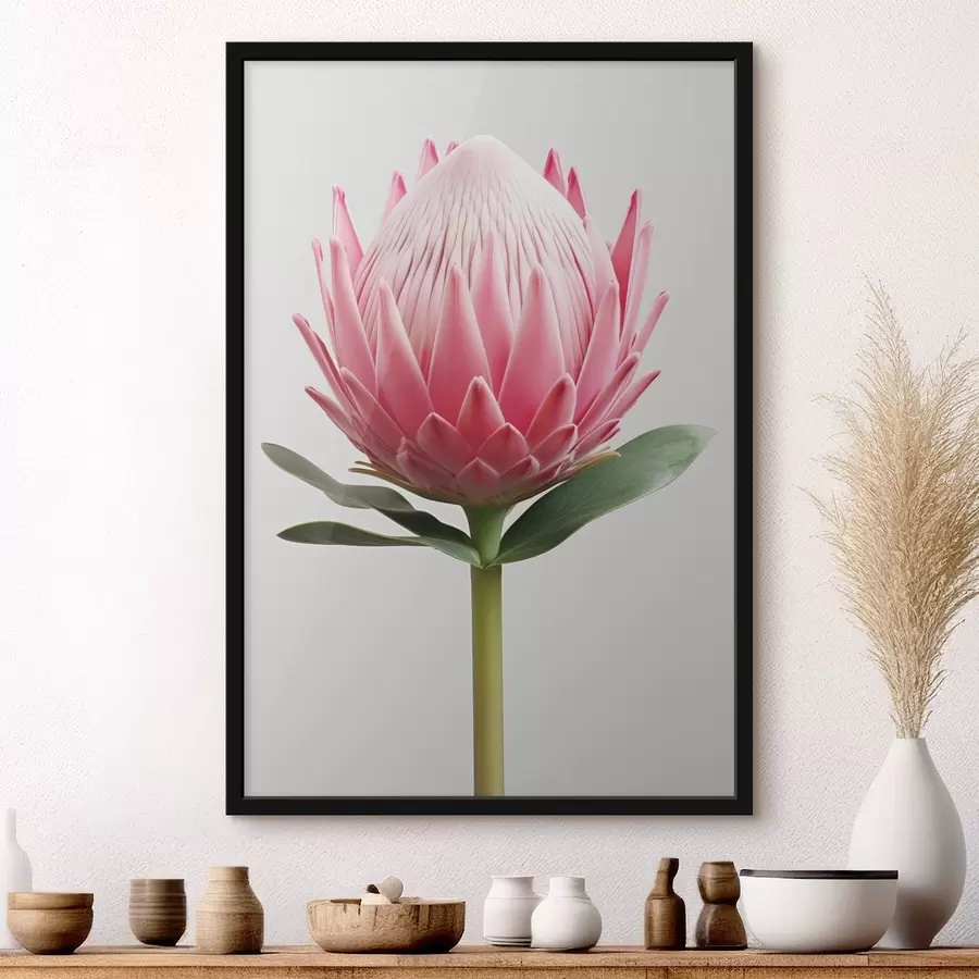 Fotobehang Exotische bloem, Protea f47823
