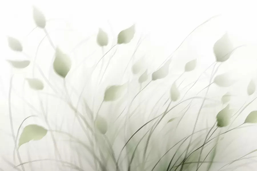 Fotobehang Gras w05226