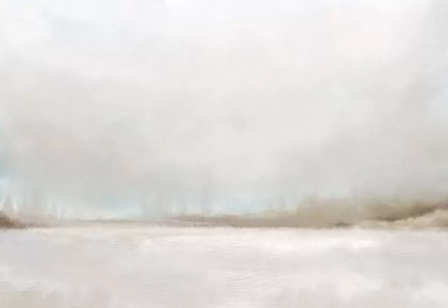 Fotobehang Mistig landschap met meer en bos w05319