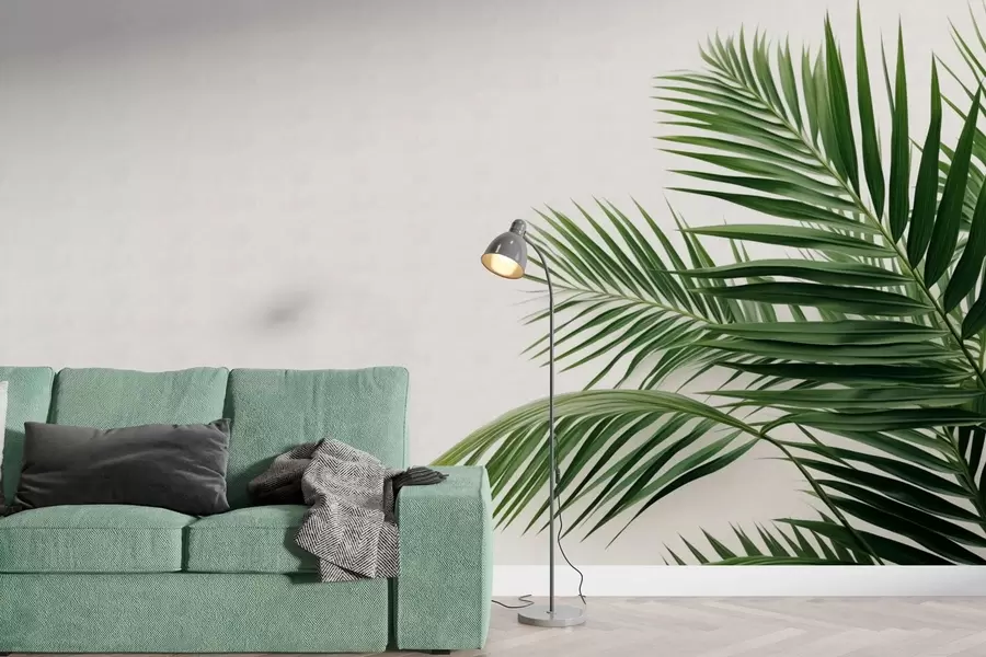 Fotobehang Groene palmbladeren op een lichte achtergrond w05391