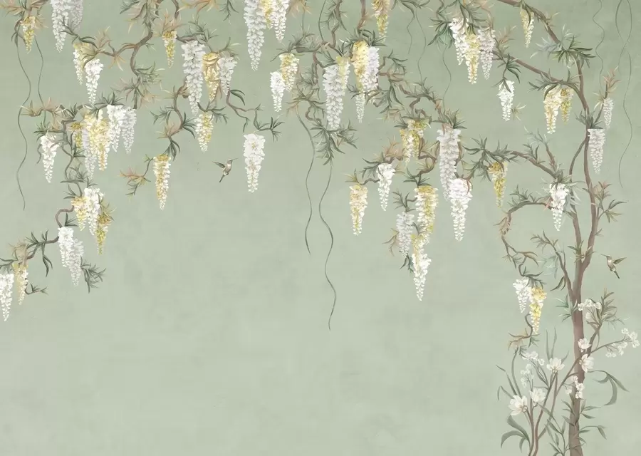 Papier peint photo Des branches fleuries avec des fleurs blanches et des oiseaux sur fond vert w05394
