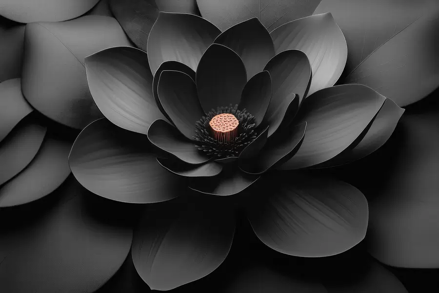 Fotobehang Minimalistische zwarte bloem met bloemblaadjes en een contrasterend warm hart w09721