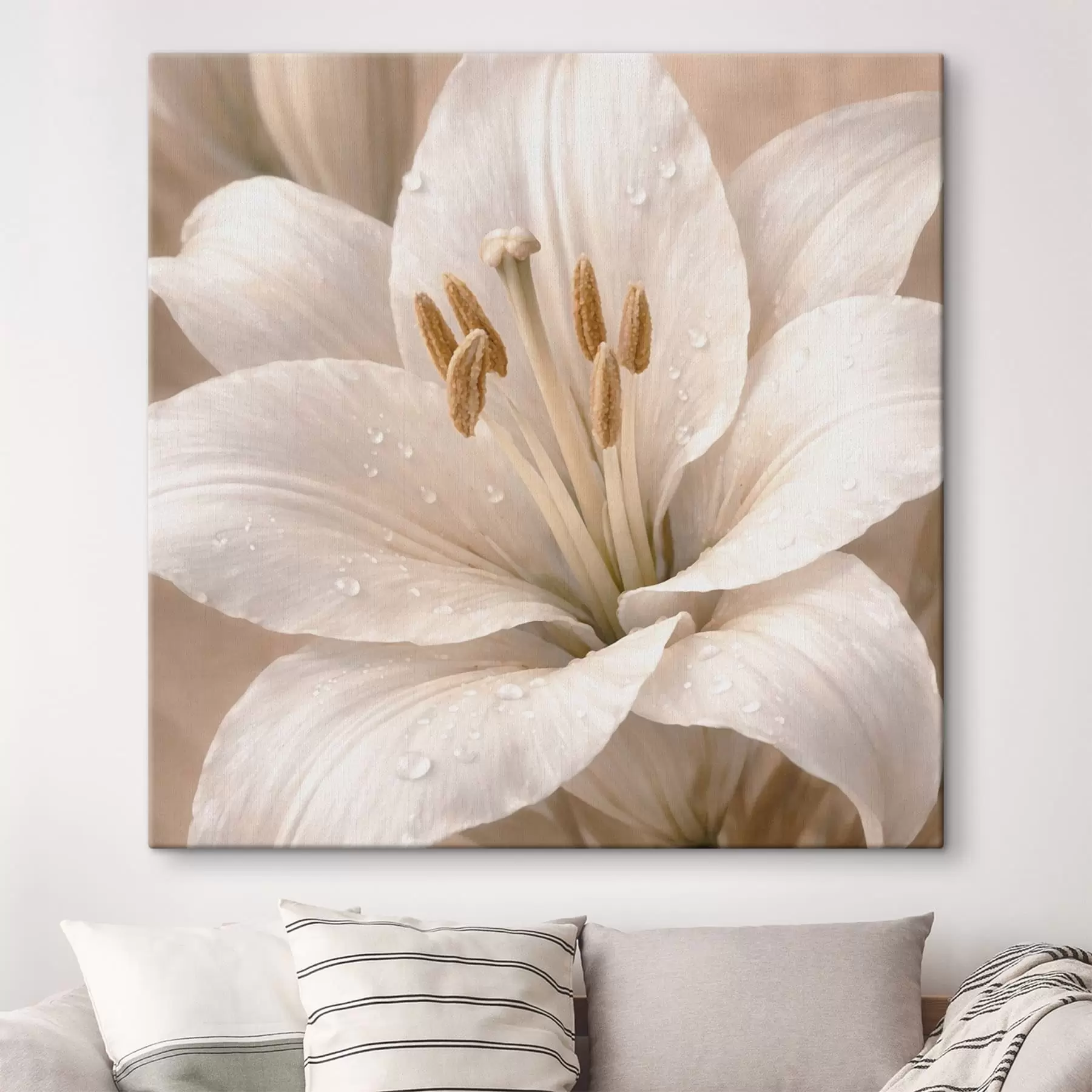  Peintures Gros plan sur une fleur blanche avec des gouttelettes d'eau s48028