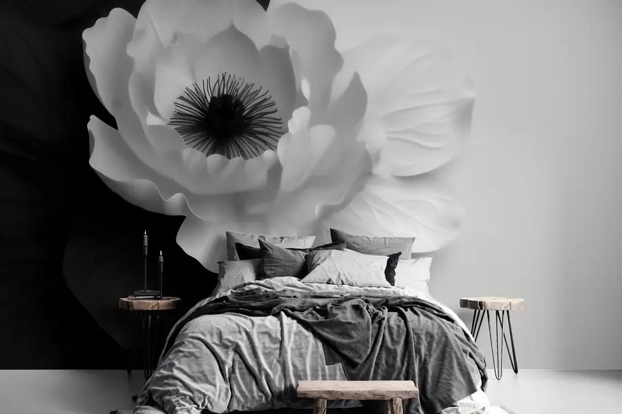 Papier peint photo Une fleur blanche contrastant avec son cœur sombre sur un fond noir et blanc w09852