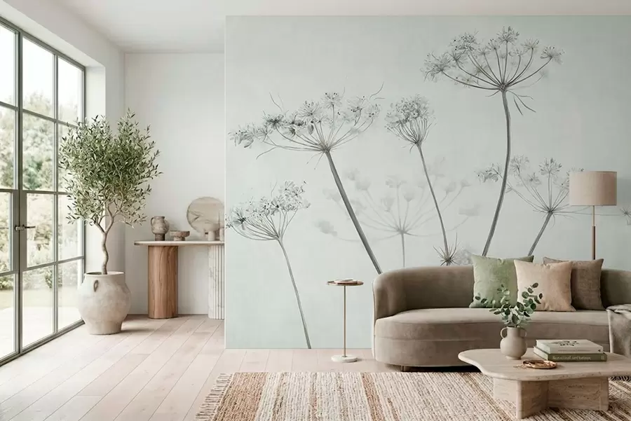 Fotobehang Fijne gedroogde bloemschermen tegen een zachte, lichte achtergrond w05543v1
