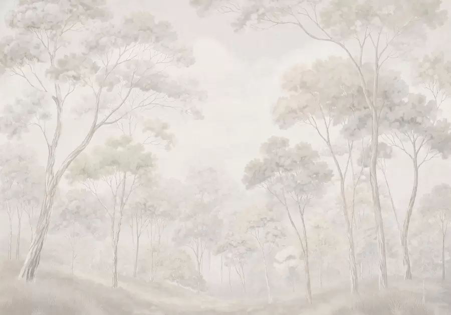 Papier peint photo Une forêt brumeuse aux tons pastel w05624v1