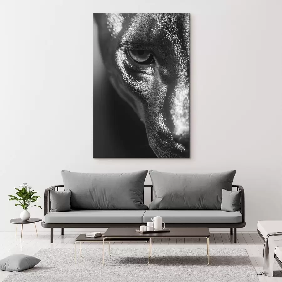  Peintures Regard argenté s49334