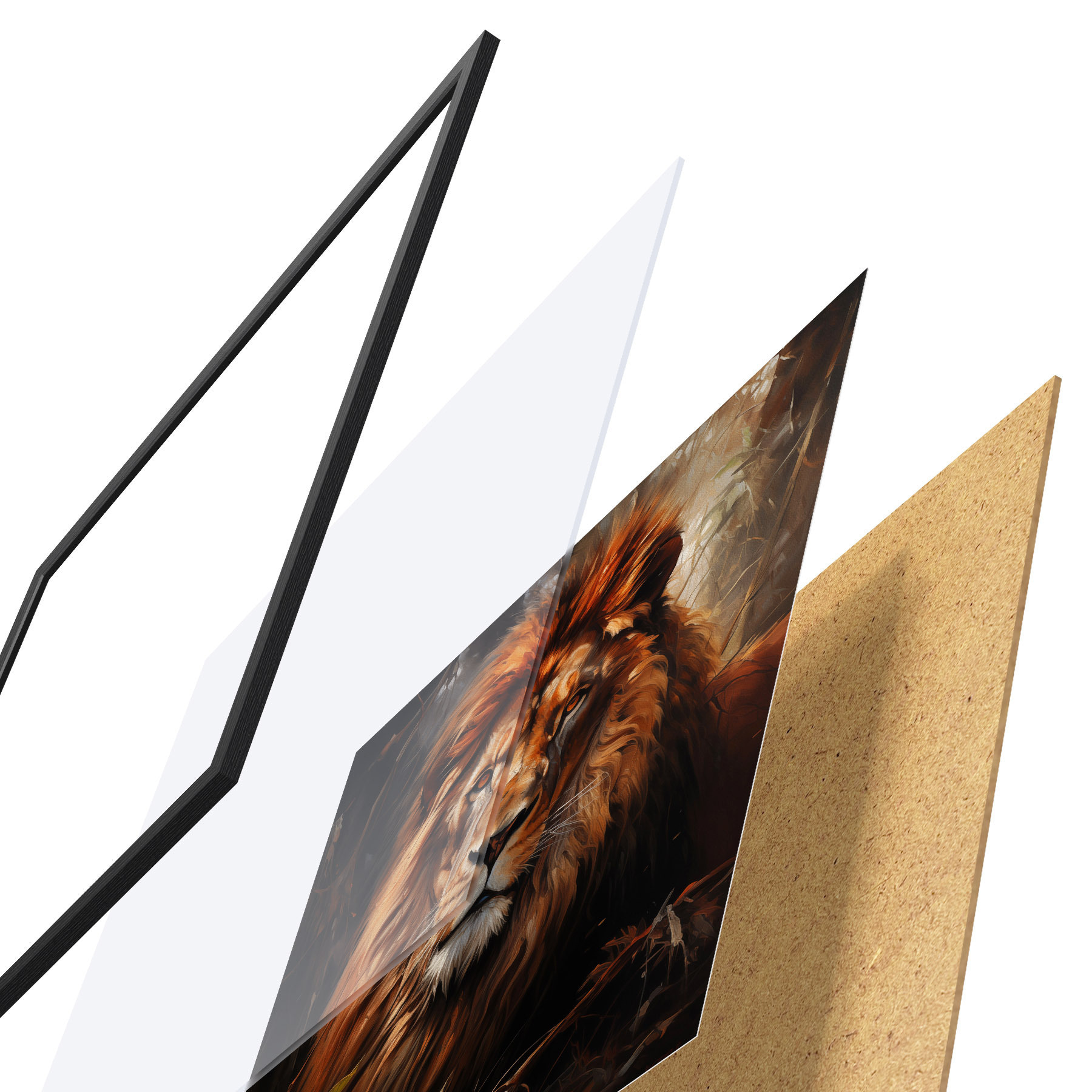 Affiche Lion f49665